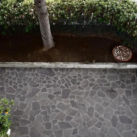 Blu 31 - Ampio In Centro A *